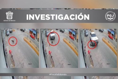 Video: Se busca; atropelló a perros en Jilotepec